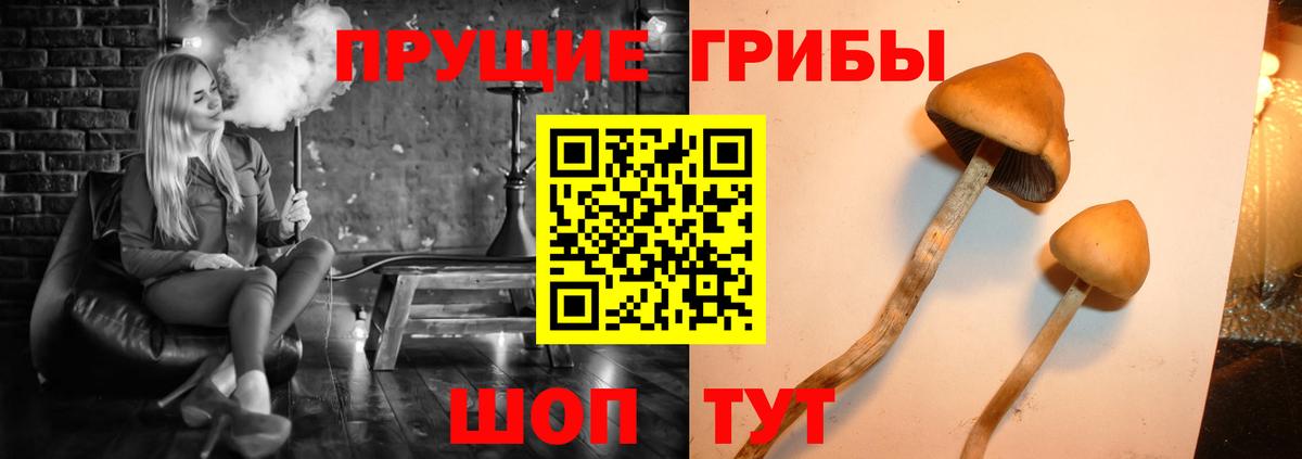 Псилоцибиновые грибы мицелий  Вход с VPN  Галлюциногенные грибы ЛСД  Карабулак 